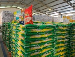 Bulog Kaltimra Mulai Serap Gabah 2026, Targetkan 23 Ribu Ton GKP