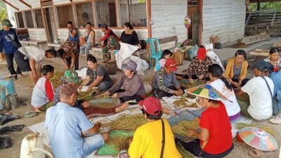 Laliq Parai Maring: Syukur Panen, Tanah Leluhur, dan Ketahanan Hidup Orang Bahau