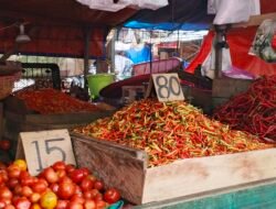 Disdag Balikpapan Pantau Harga dan Pasokan Pangan, Cabai Rawit Tercatat Naik Jelang Idul Fitri