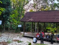 Doris Dorong Taman Hutan Kota Jadi Wisata Baru