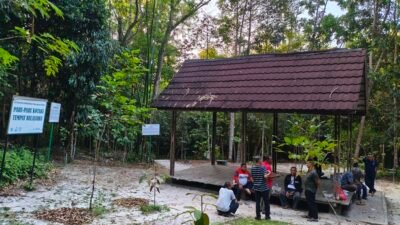 Taman Hutan Kota