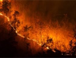 Hotspot Meningkat, 415 Hektare Lahan Terbakar di Kutai Barat