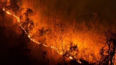 Hotspot Meningkat, 415 Hektare Lahan Terbakar di Kutai Barat