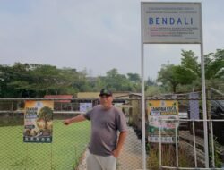 Menanam di Tengah Permukiman Balikpapan, Upaya Warga Sepinggan Pratama Hadapi Sampah